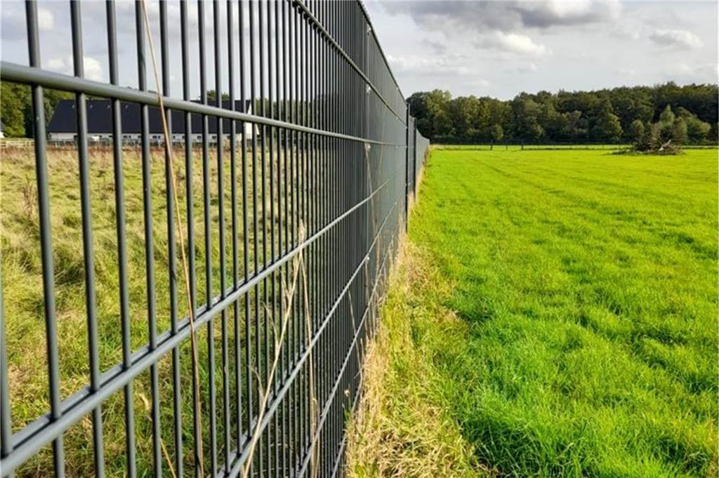 Vier Schafe gerissen - Massive Kritik am Wolfsmanagement Hinter diesem Metallzaun wurden die vier Schafe gerissen.