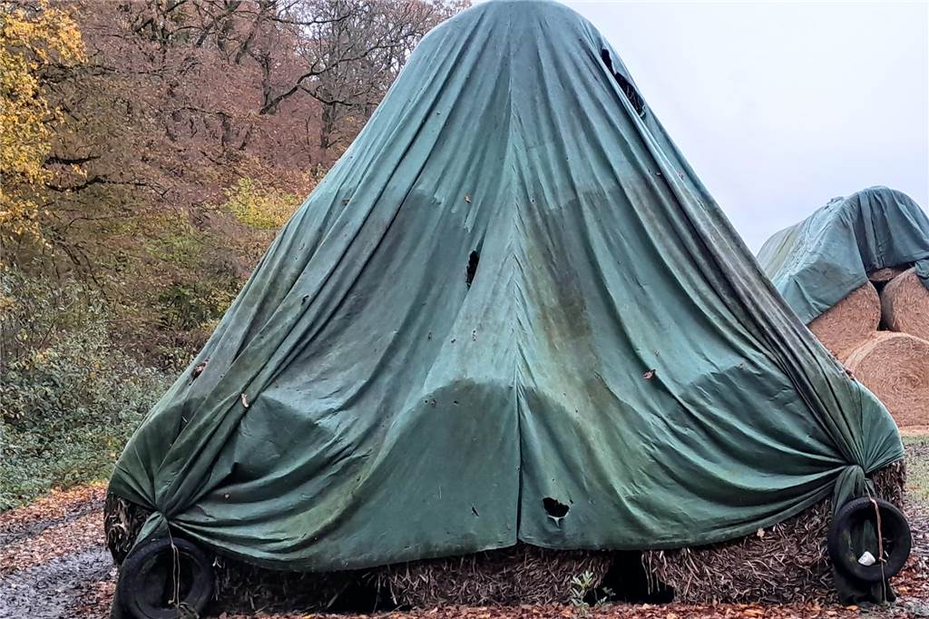 Hinter dieser grünen Maske scheint sich ein schlafendes Untier mit Augen, Nase und Maul zu verbergen. Gut, dass Landwirt Altfeld in Nordkirchen das offenbar anders sieht. Sonst kämen die Tiere auf dem Biolandhof nicht in den Genuss der Ballen unter der Abdeckung. 
