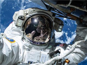 Hochenergetische Strahlung wie die kosmische im Weltall schadet dem Gehirn von Mäusen. Gilt das auch für Astronauten auf einer Langzeitmission zum Mars? Foto: Nasa