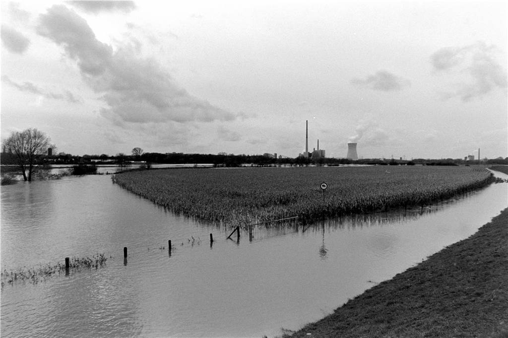 Hochwasser an der Lippe im Bereich des Alstedder Damms