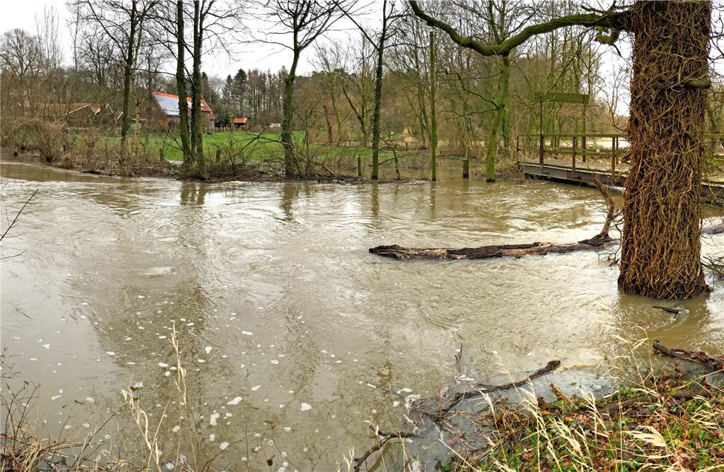 Berkelanrainer in Stadtlohn blicken sorgenvoll aufs Hochwasser Hochwasseridyll an der Berkel in Estern