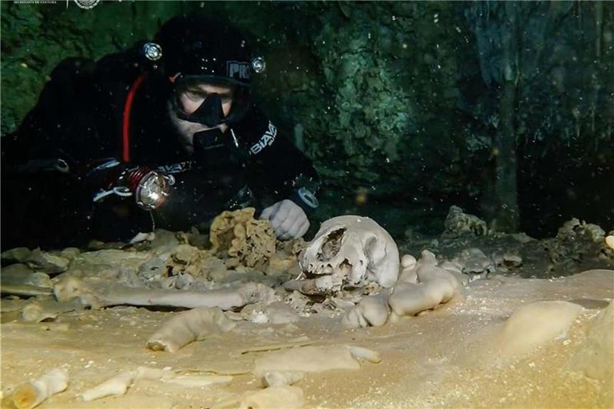 Maya-Kunst und Knochenfunde in längster Unterwasserhöhle Höhlensystem Sac Actun: Die Überreste eines Schädels liegen unter Wasser. Foto: Inah/NOTIMEX