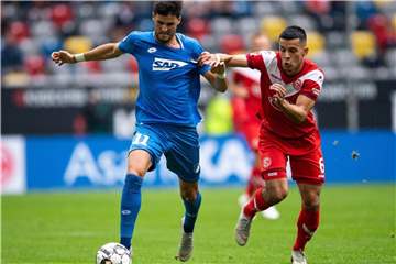 Hoffenheims Florian Grillitsch (l) zog sich im Spiel gegen Düsseldorf einen Schulterprellung zu. Foto: Marius Becker