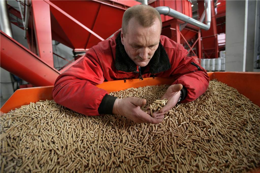 Ein Mann prüft frisch gepresste Holzpellets