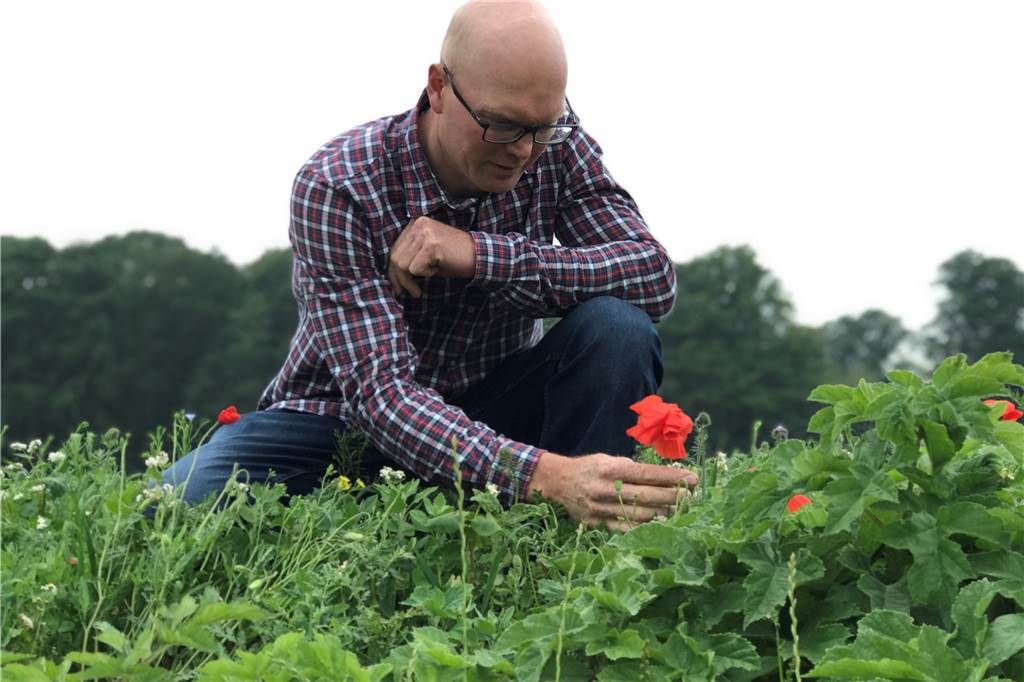 „Kein Landwirt will Bienen ausrotten!“ Bauer Hubbert über die Blühstreifen von Dingen Hubbert lädt die Menschen dazu ein, sich einfach Sonnenblumen oder andere Blüten zu pflücken - auch wenn das den Insekten dann wiederum nicht so sehr hilft.