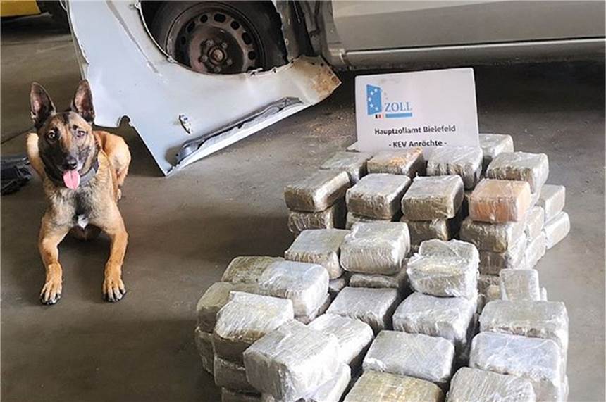 Hündin „Lieschen Müller“ macht großen Fund in NRW - Zoll feiert riesigen Erfolg Hündin «Lieschen Müller» liegt nehmen einem Auto, in dem 52 Kilogramm Marihuana versteckt waren.