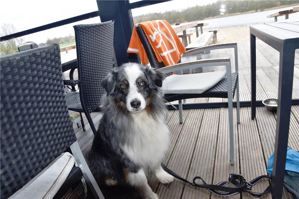 Hunde sind in der Pergola des Café Seepark herzlich willkommen.
