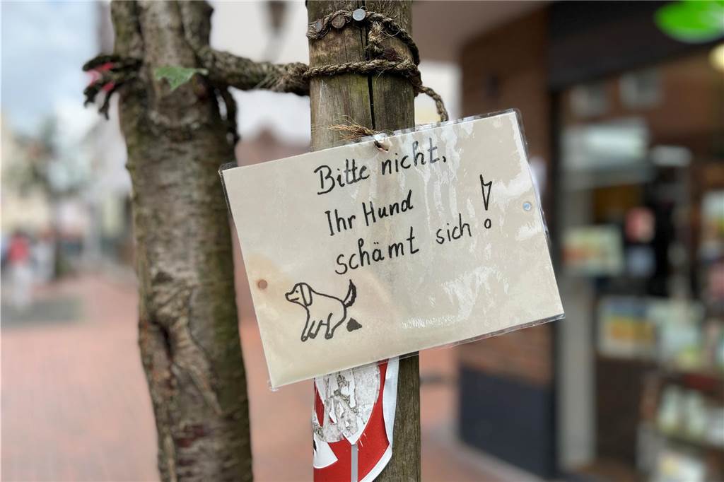 Vandalismus am Reformhaus: „Sind enttäuscht, dass so etwas passiert“ Ein Schild hängt an einem Baum.