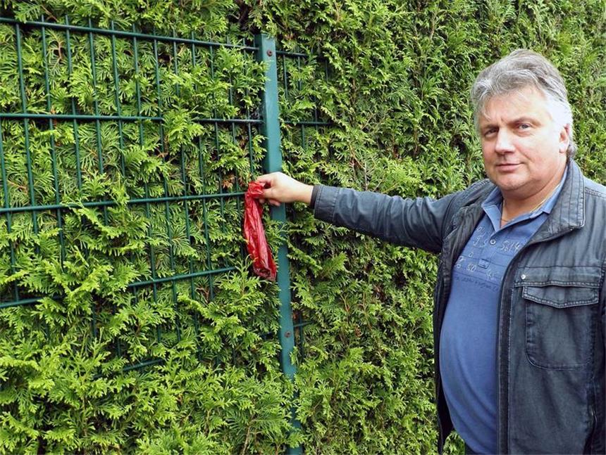 Hundehalter stopfen Kotbeutel einfach in Dietmar Radtkes Hecke oder werfen sie über seinen Gartenzaun.