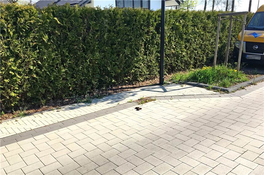 So ein Sch***: Hat Herbern ein Problem mit Hundehaufen? Hundekot an der Karl-Leisner-Straße: „Ein fast tägliches Bild“, schreibt ein Leser aus Herbern, der dieses Foto machte.