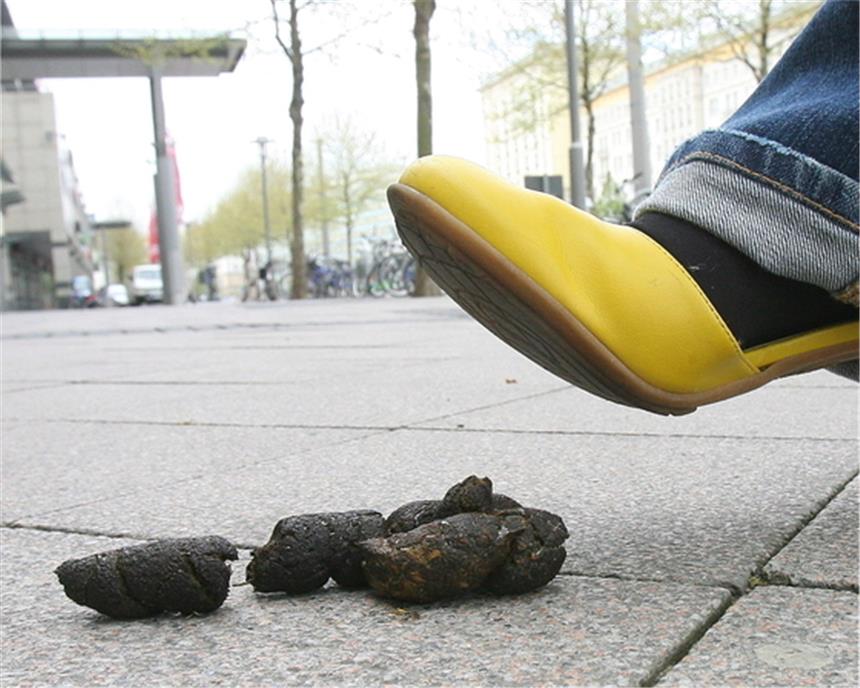 EUV verteilt Hundekotbeutel Hundekot - ein ewiges Ärgernis.