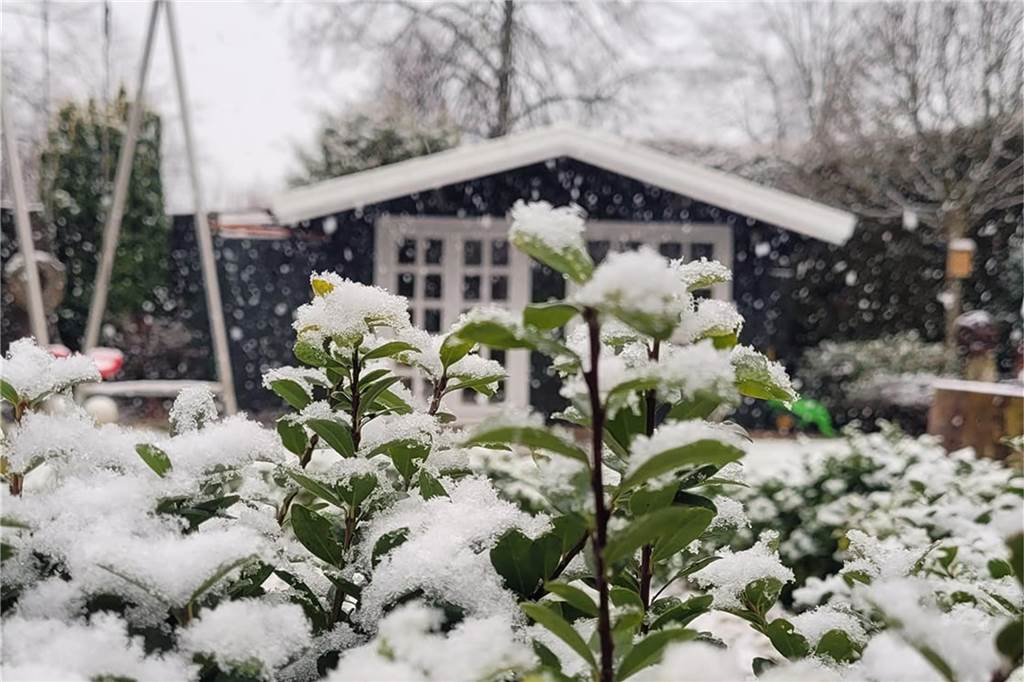Ihren Garten als Winterlandschaft hat Britta Lukas aus Südlohn eingefangen.