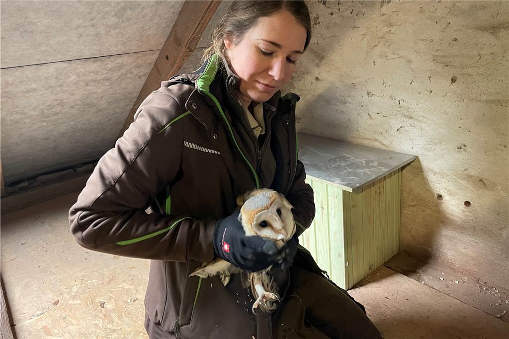Tierpflegerin hält Schleiereule