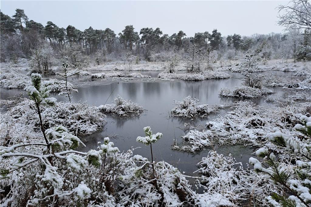 Im Ammeloer Venn hat Mechthild Bäumer diese winterliche Idylle eingefangen.