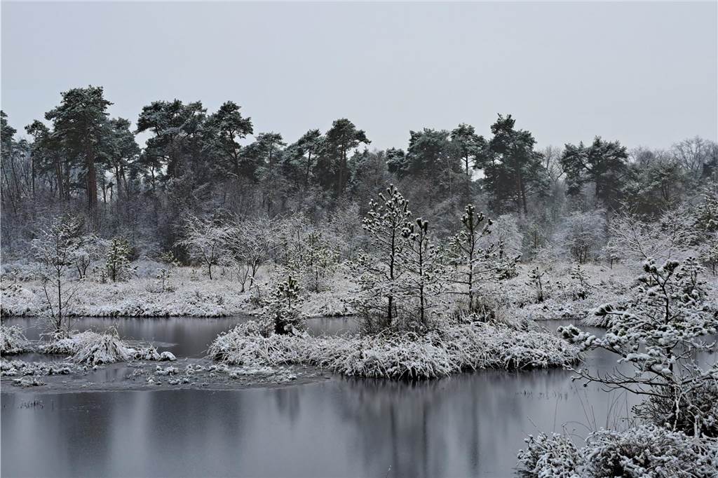 Im Ammeloer Venn hat Mechthild Bäumer diese winterliche Idylle eingefangen.