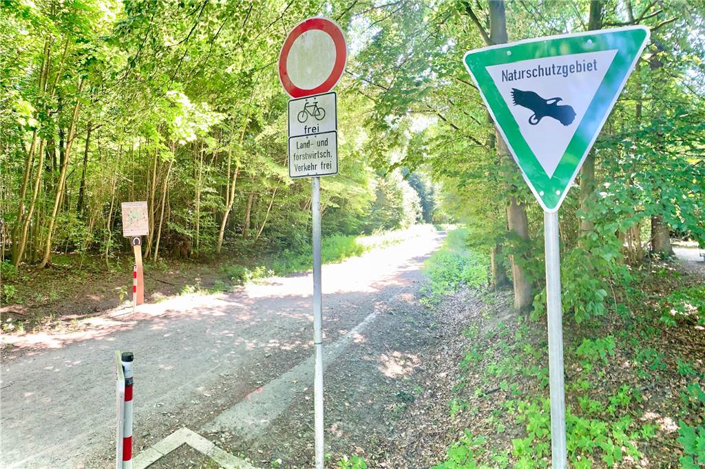 Bezirksregierung prüft einheitliche Leinen-Pflicht für Hunde Im Aplerbecker Wald darf der Hund heute schon ohne Leine auf den Wegen laufen. Im Schürener Steinbruch beispielsweise nicht.