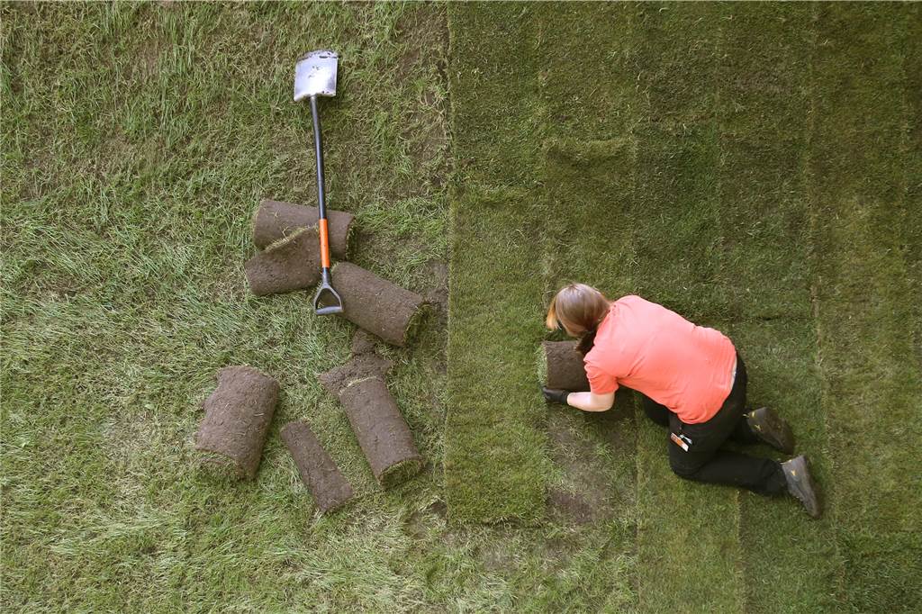 Eigenleistung: Häuslebauer sollten sich beim Eigenheim-Bau nicht überschätzen Im Außenbereich können Bauherren gut Eigenleistung einbringen. Beim Rollrasen verlegen etwa.