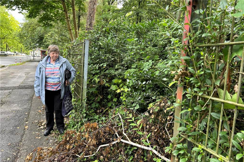 „Hunde pinkeln auf Gräber, manche Wege sind gefährlich“: Gerda Menge (73) kritisiert Zustände auf Südfriedhof Im Außenzaun des Südfriedhofs an der Kreuzstraße klafft ein großes Loch.