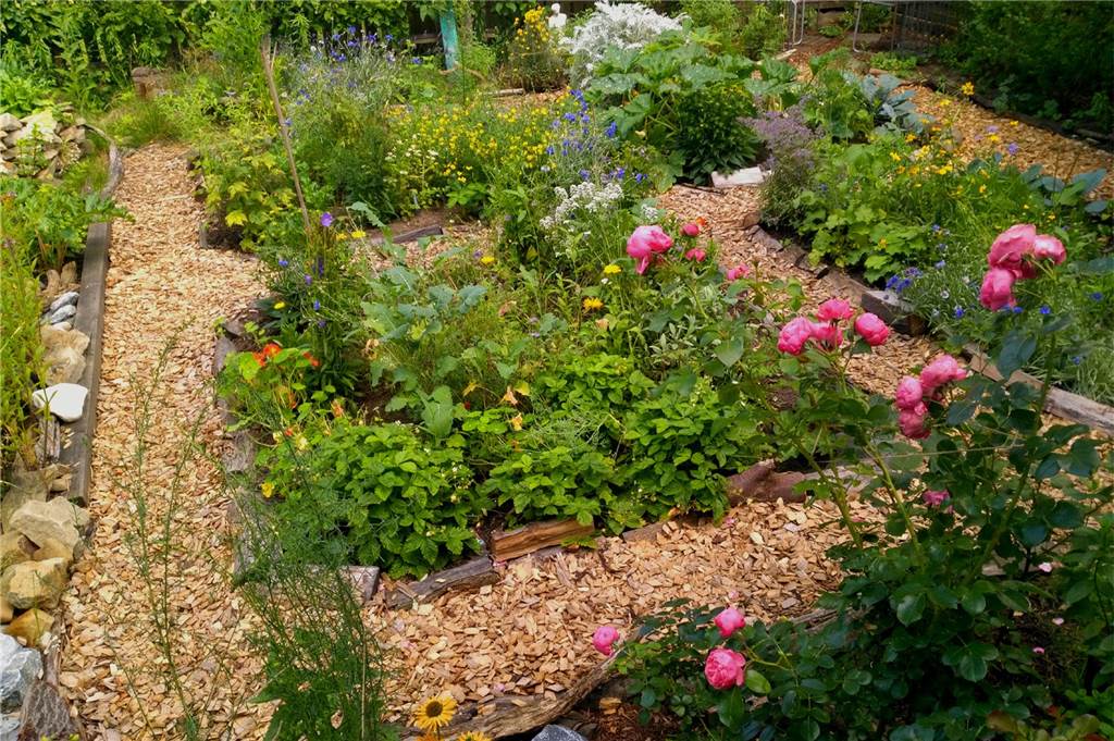 Denise Lorenz setzt auf naturnahe und tierfreundliche Gartengestaltung Im Bauerngarten von Denise Lorenz wachsen verschiedene Heilkräuter, Obst- und Gemüsepflanzen.