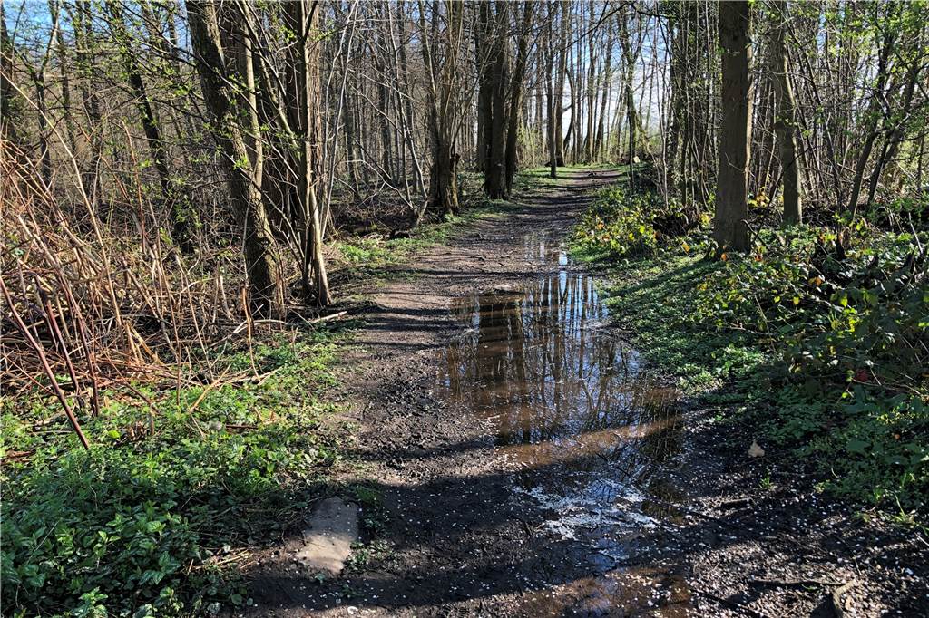 Radweg soll durch die Natur direkt von Kemminghausen nach Kirchderne führen Im Bereich Alter Postweg gibt es bereits diesen Waldweg. Deshalb soll es keinen weiteren Weg entlang des Kirchderner Grabens geben, sagt der Lippeverband