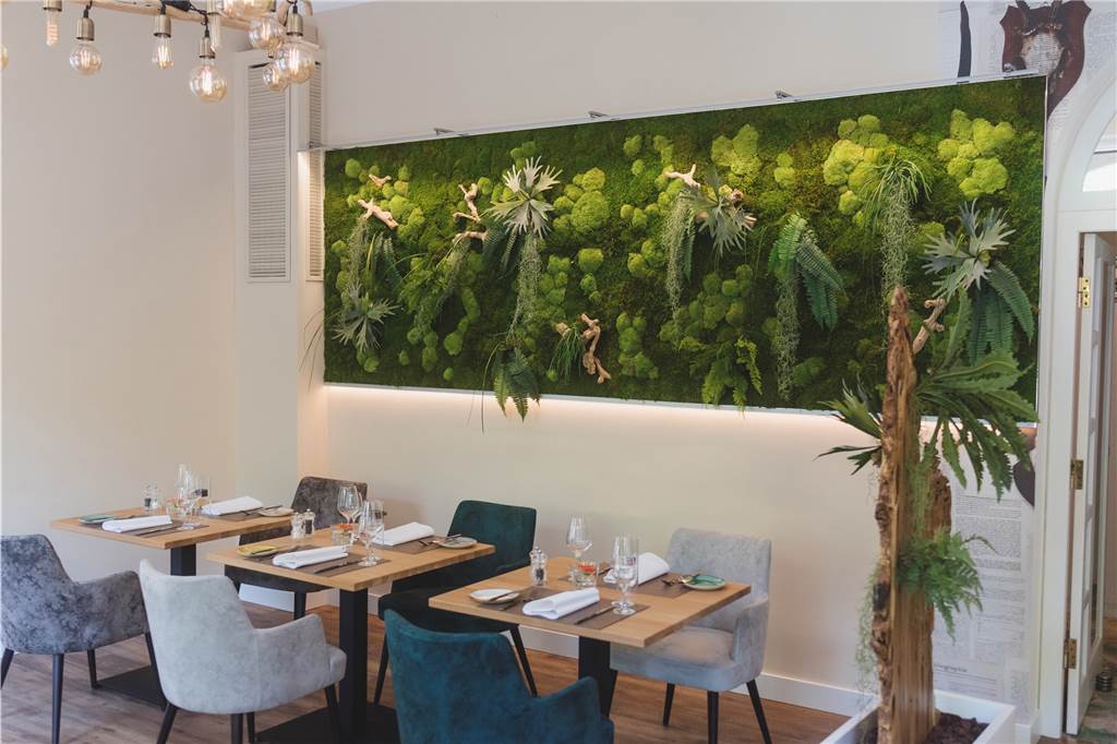 Traditionsreiches Restaurant erfindet sich neu - mit Moos Im "Blattwerk" gibt es nun eine große Moos-Wand.