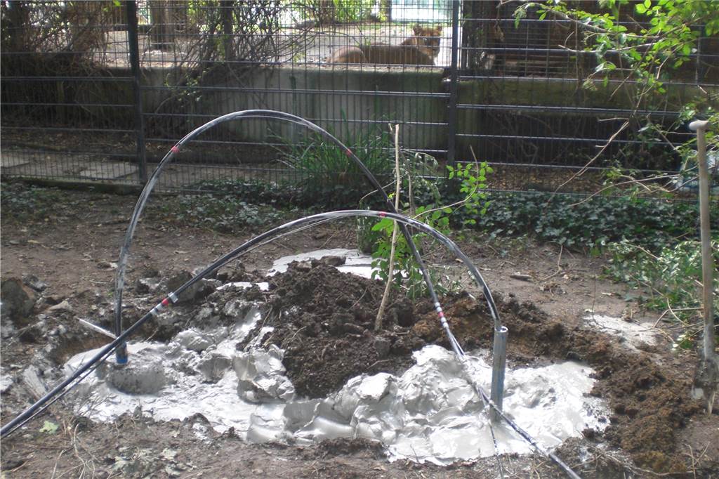 Im Dortmunder Zoo verfüllte das Bergamt auch in umittelbarer Nähe des Löwengeheges alte Hohlräume mit Beton.