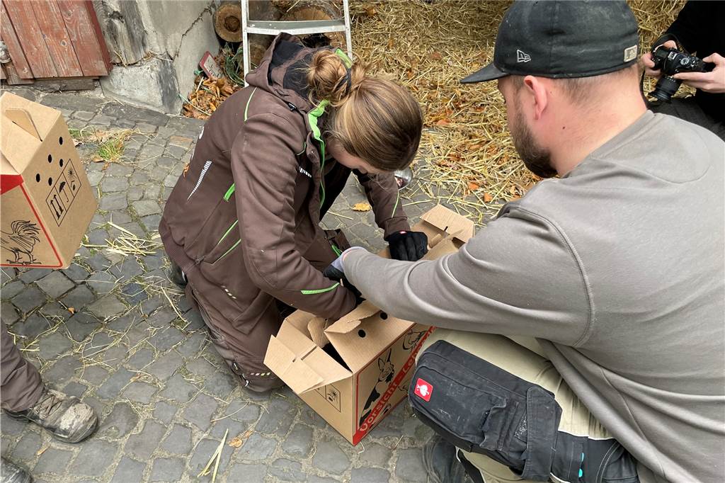 Tierparkleiterin Elisabeth Schüller holt die Eulen aus ihren Transportkisten