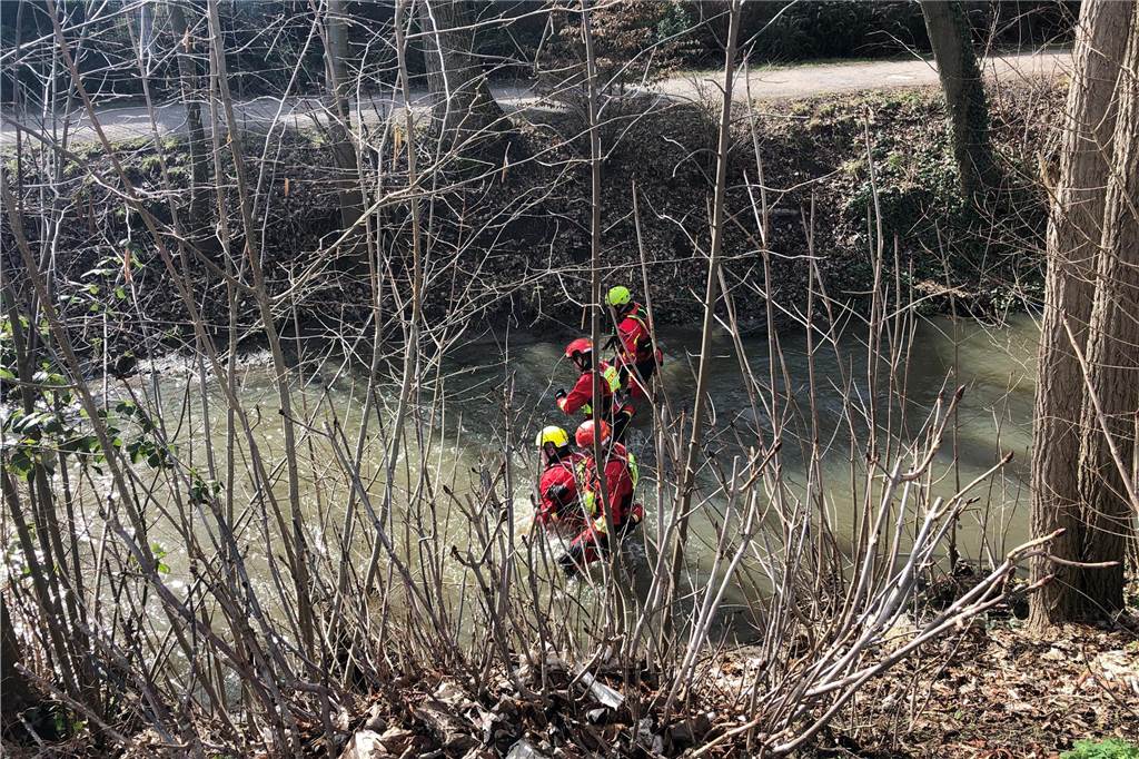 Diese Geschichten wurden in Werne 2023 am häufigsten gelesen Im eiskalten Wasser der Horne suchen DLRG-Strömungsretter nach einem vermissten 59-jährigen Werner
