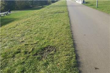 Im Flusspark erinnern nur noch einige Spuren auf dem Rasen an den Vandalismus-Vorfall vom Wochenende.