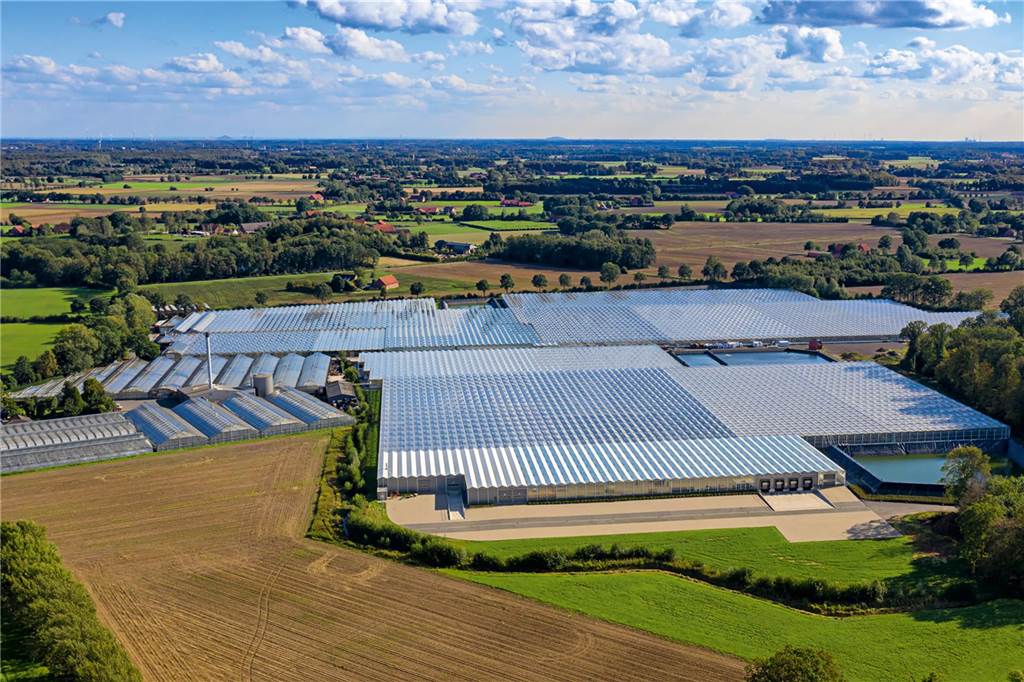 Per Anruf stoppt der Schattenwurf: Firma Westhoff kann Windräder stilllegen Im Fresenhorst in Oeding hat das Unternehmen seinen Firmensitz.