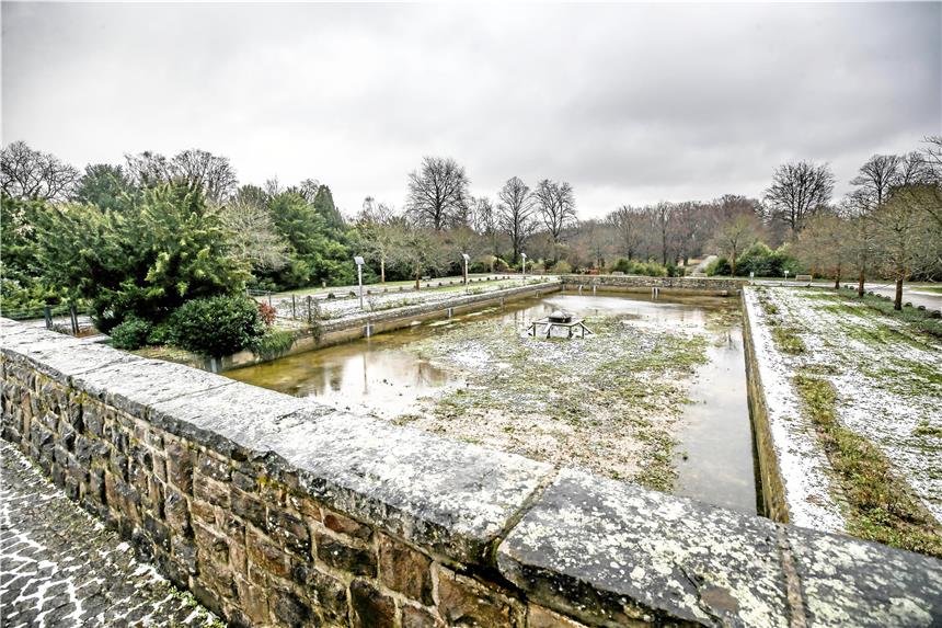Friedhofsteich verliert wieder Wasser Im großen Teich auf dem Hauptfriedhof ist vor allem Matsche statt Wasser. Der Boden ist undicht.Menne