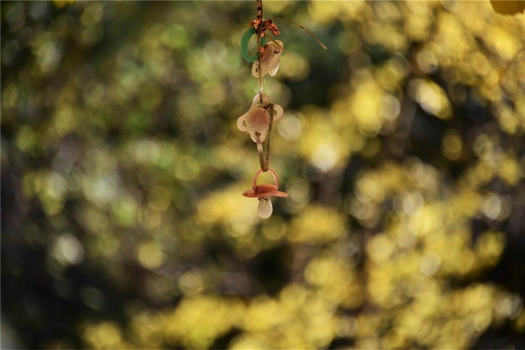 Im Herbst den Schnuller abgeben - Der sog. Schnullerbaum im Westfalenpark.