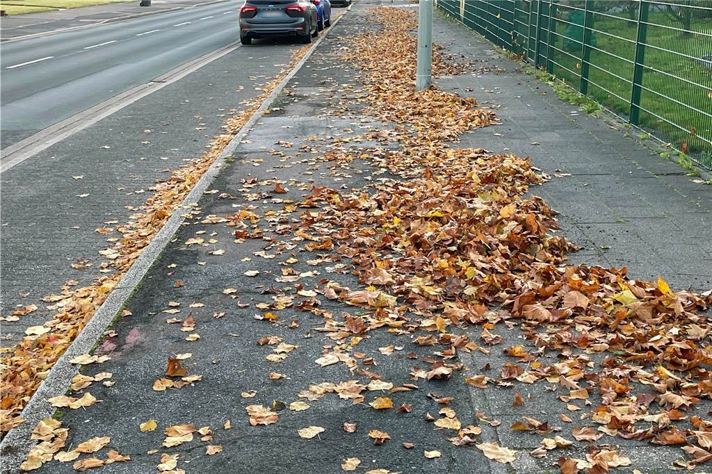 Im Herbst macht Laub den ohnehin schlechten Radweg längs der Straßen Penningrode/Ovelgönne noch tückischer.