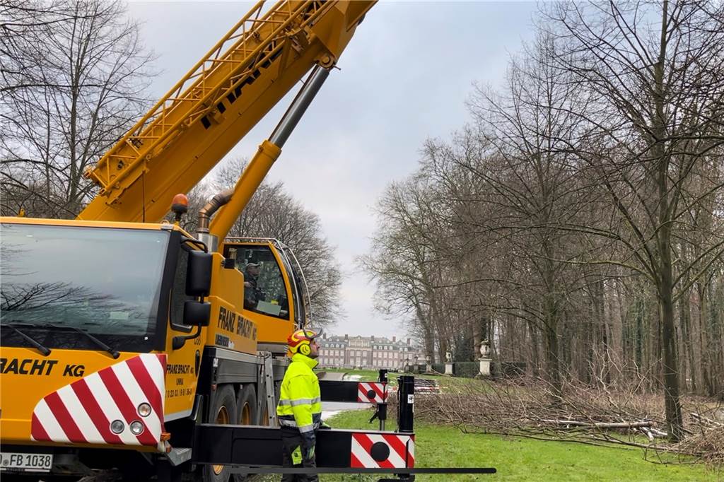Willi Zimmers Idee: Kletterer baumelt vor Schoss Nordkirchen am Kran Im Hintergrund ist das Schloss Nordkirchen zu sehen. Zimmers Team hat schon eine Menge Totholz aus den Bäumen geholt. Die Gemeinde Nordkirchen kommt ihrer Verkehrssicherungspflicht nach, indem sie Willi Zimmer beauftragt und dafür sorgt, dass das Totholz nicht Spaziergängern gefährlich wird. Außerdem gelte es, die Lindenallee sichtbar bleiben zu lassen und das Gehölz rechts und links zurück zu schneiden oder auf Stock zu setzen.