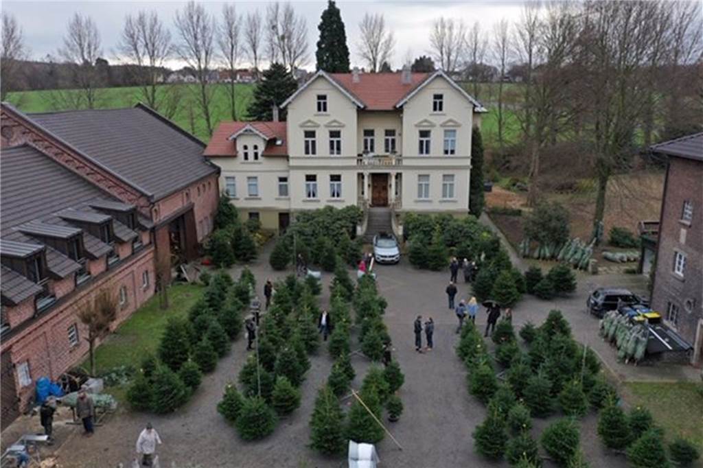 Weihnachtsbäume werden in Dortmund wegen Corona teurer Im Hof von Gut Vellinghausen in Dortmund-Sölde werden auch in diesem Jahr wieder Weihnachtsbäume angeboten. Der Verkauf startet bereits am 5. Dezember