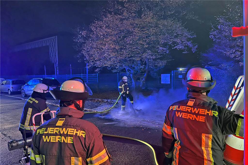 Schwierige Tierrettung und Flächenbrand: Viel Arbeit für die Feuerwehr Im Holtkamp brannte eine Papiertonne.