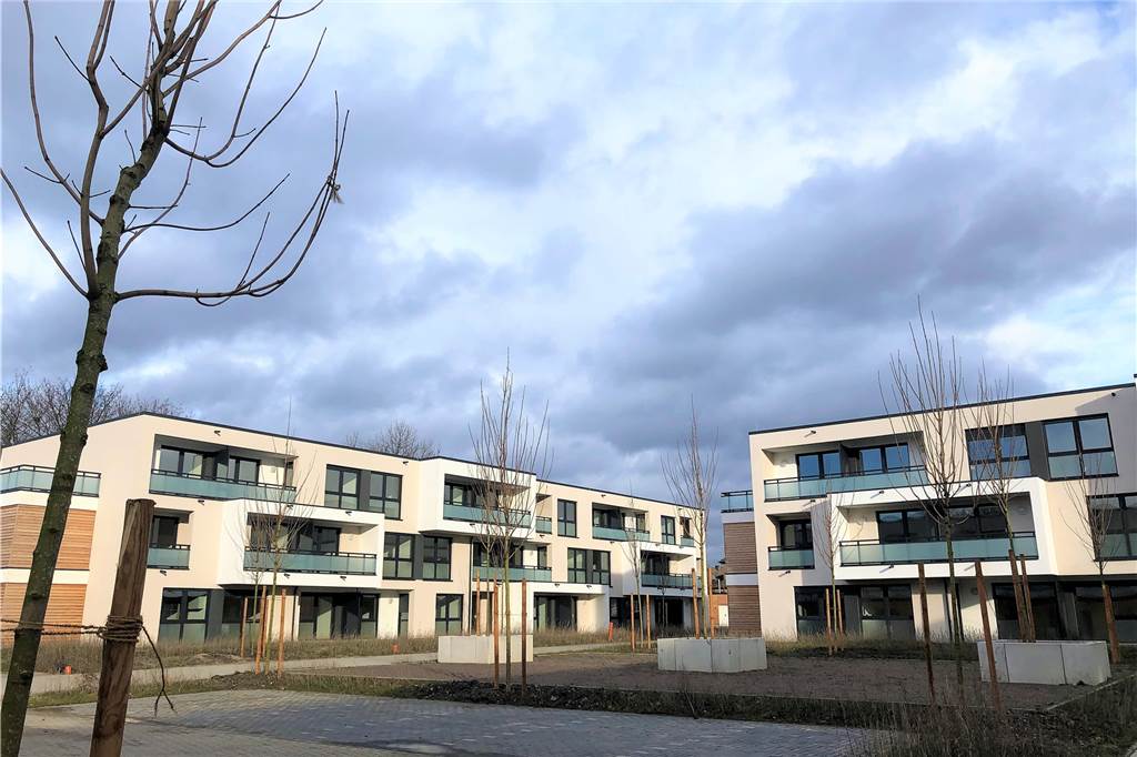 Wilde Spekulationen um 92 neue Sozialwohnungen in Dortmund: Warum zieht hier keiner ein? Im Innenhof der Wohnanlage wurden bereits kleine Bäume gepflanzt.