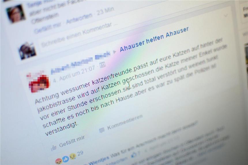 75-Jähriger trifft Katze tödlich Im Internet machte der Fall am Montag schnell die Runde. Ein 75-jähriger Wessumer soll mit einem Luftgewehr an der Jakobistraße auf die Katze geschossen haben.