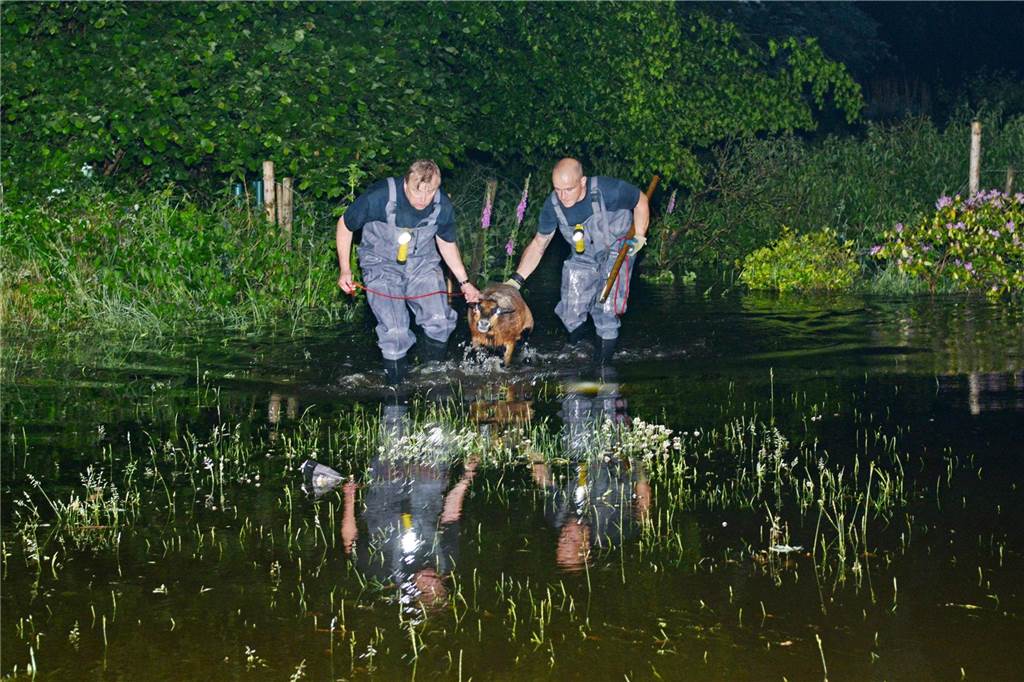 In welchen Gebieten ist die Überschwemmungsgefahr am größten? Im Juni 2016 schwoll der Schölzbach im südlichen Teil von Dorsten aufgrund der Starkregenfälle vom Abend derart an, dass er seinen sonst üblichen Bachlauf verließ und angrenzende Straßen, Brücken, Felder und Wiesen überflutete. Auch einige Wohnhäuser im Bereich Dorsten Tönsholt wurden von den Wassermassen bedroht und teilweise überflutet.