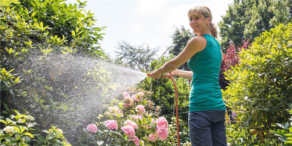 Trotz Trockenheit wird Wasser im Kreis RE nicht knapp - aus einem bestimmten Grund Im Kreis Recklinghausen ist es trotz Hitze und Trockenheit kein Problem, den Garten mit Leitungswasser zu bewässern. In anderen Regionen wird dringend davon abgeraten.