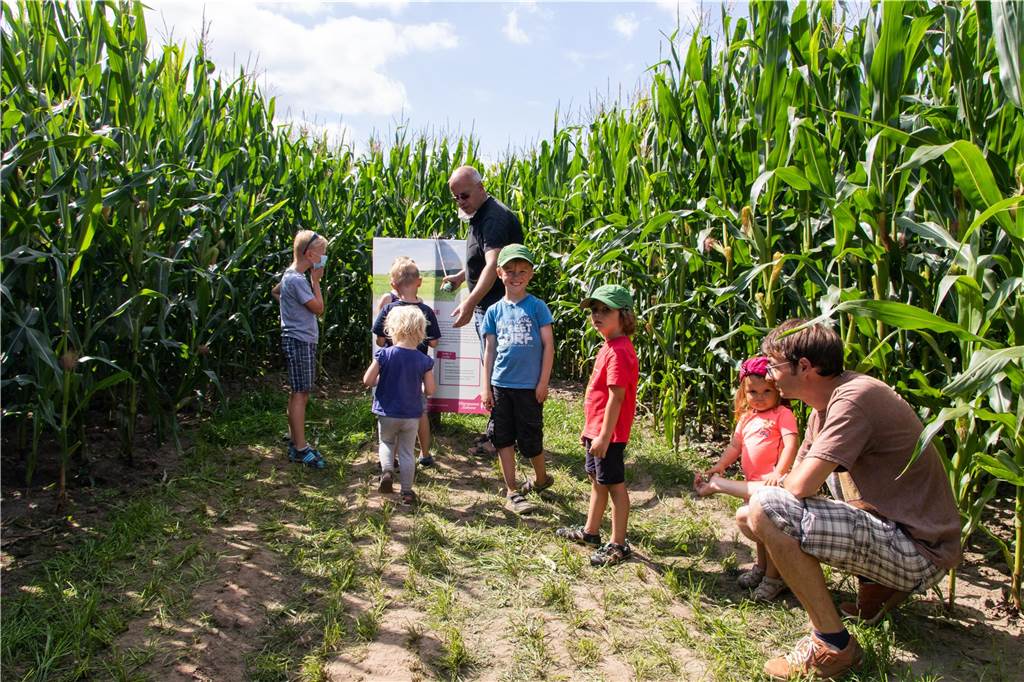Gruselspaß bei Familie Miermann: Maislabyrinth öffnet bei Mondschein Im Maislabyrinth am Hof Miermann in Kirchhellen gibt es für Kinder und Erwachsene vieles zu entdecken.