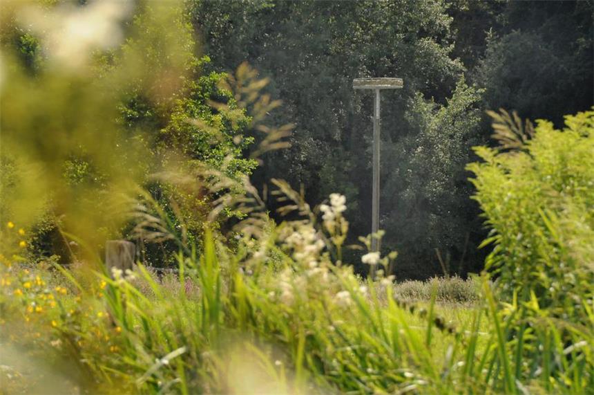 Nisthilfen sollen Störche nach Garenfeld locken Im Naturschutzgebiet zwischen Ruhr und Ruhrtalstraße in Garenfeld versteckt sich die Nisthilfe auf einem fast acht Meter hohen Pfahl. Trotzdem finden die Störche die Konstruktion, die vom Naturschutzbund Hagen aufgestellt wurde.