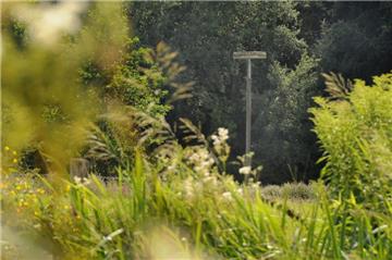 Im Naturschutzgebiet zwischen Ruhr und Ruhrtalstraße in Garenfeld versteckt sich die Nisthilfe auf einem fast acht Meter hohen Pfahl. Trotzdem finden die Störche die Konstruktion, die vom Naturschutzbund Hagen aufgestellt wurde.