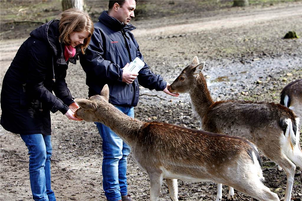 Freizeittipps für den Winter in Haltern: Diese Ziele sind einen Ausflug wert Zwei Menschen füttern Rehe.