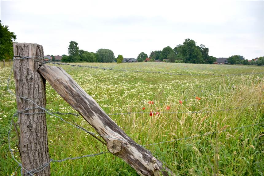 Im neuen Baugebiet Wüllen-Nord ist kein Platz für Mehrfamilienhäuser Im neuen Baugebiet Wüllen-Nord – zwischen Vredener Dyk, Friedmate und Kaikhoffs Weg – sollen über 20 Einfamilienhäuser entstehen.