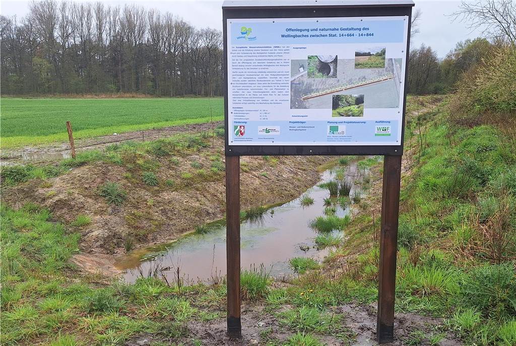 Zurück zur Natur: Wellingbach wurde auf 180 Metern renaturiert Schild