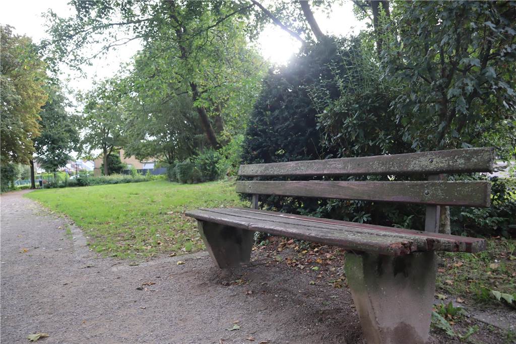 Stadtteilkonferenz: Agathaschule rührt Werbetrommel für Niedrigseilgarten Im Pestalozzipark werden demnächst Birnenbäume gepflanzt werden. Auch eine Plauderbank soll aufgestellt werden.
