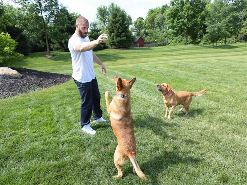 Tiefschlag, Urlaub, Neustart: Werner will den Durchbruch Im riesigen Garten spielt Björn Werner gern mit seinen Hunden. Foto: Chris Bergin