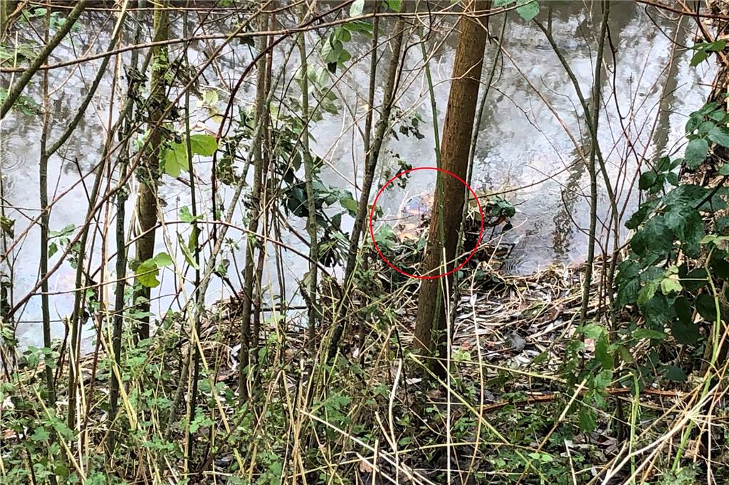 Im roten Kreis zu sehen: Der Heizölfilm auf der Wasseroberfläche des Rüpingsbaches.