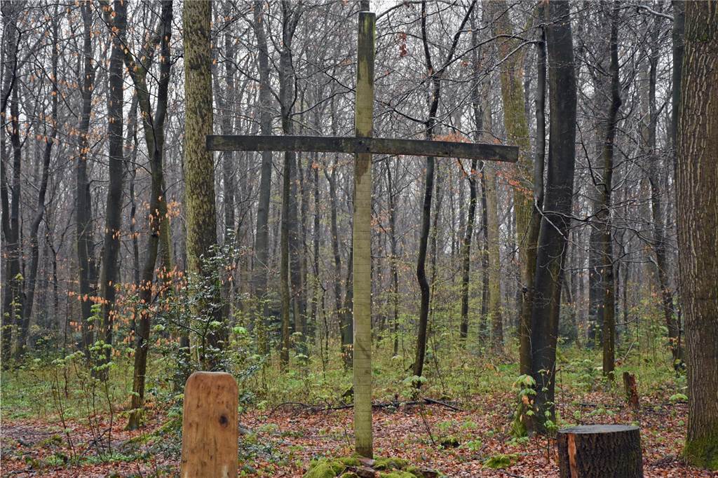 Friedhofsgebühren in Selm, Olfen und Nordkirchen Im Ruheforst Cappenberg sind Bestattungen in biologisch abbaubaren Urnen möglich. Neben den Gräbern gibt es einen zentralen Ort für Trauerfeiern.